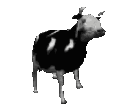 :cow_dance: