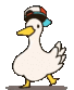 :duck_dance: