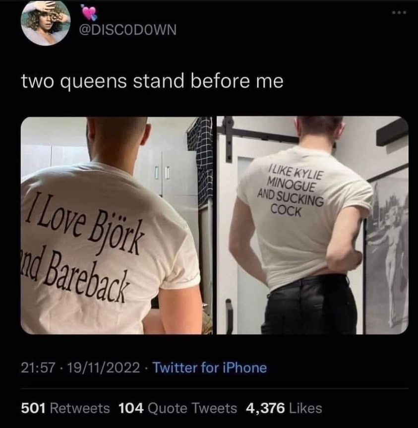a screen capture of a tweet from @DISC0D0WN that says "two queens stand before me" and it has two photos attached: on the left, one depicting a person from the back and they're wearing a t-shirt that says "I love Bj&ouml;rk and bareback"; on the right, one depicting another person from the back and they're wearing a t-shirt that says "I like Kylie Minogue and sucking cock".