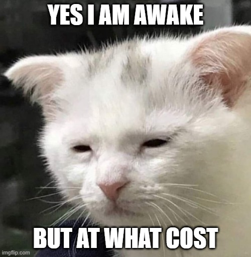 a classic meme format comprised of the photo of a white cat with an exhausted facial expression, a top text that says "YES I AM AWAKE" and a bottom text that says "BUT AT WHAT COST".